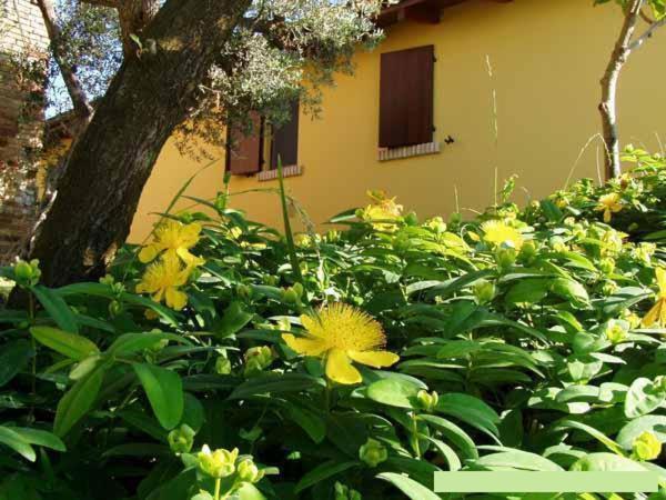 Agriturismo Tenuta Santa Maria 노타레스코 외부 사진