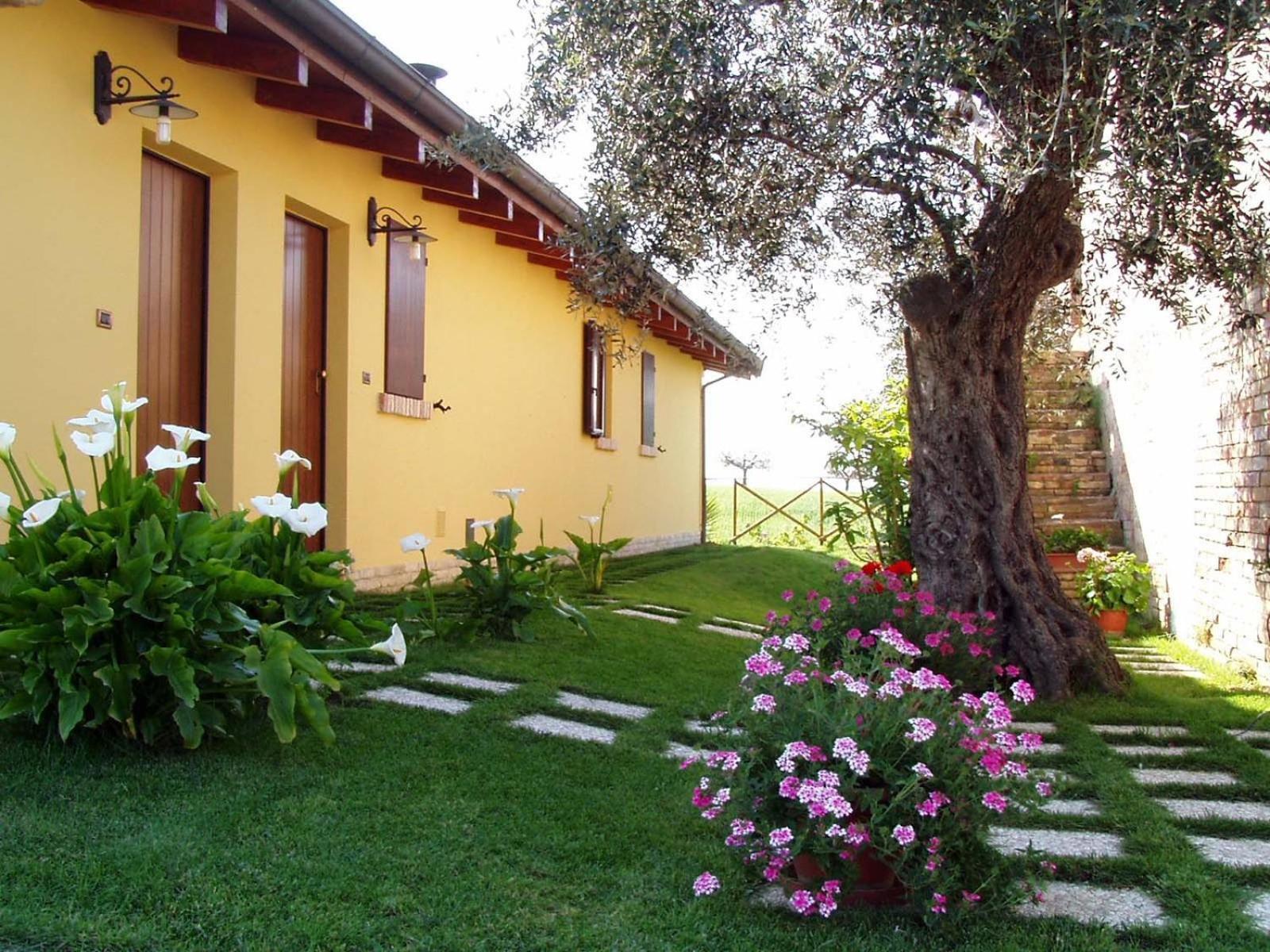 Agriturismo Tenuta Santa Maria 노타레스코 외부 사진