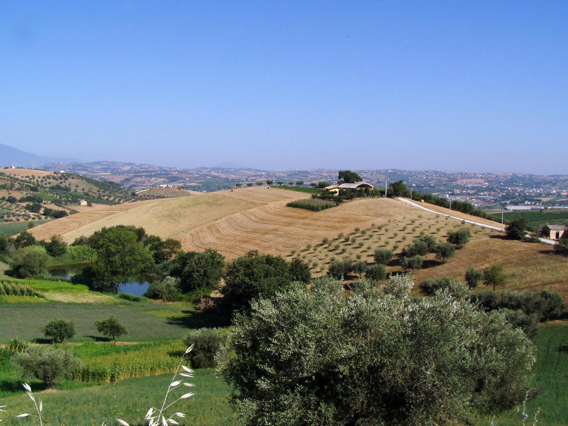 Agriturismo Tenuta Santa Maria 노타레스코 외부 사진