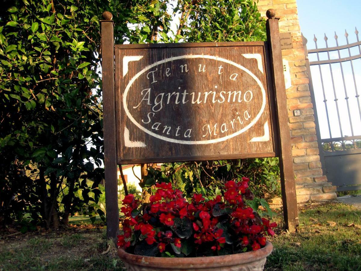 Agriturismo Tenuta Santa Maria 노타레스코 외부 사진