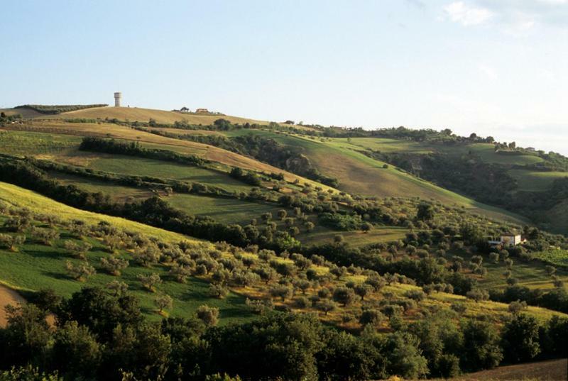 Agriturismo Tenuta Santa Maria 노타레스코 외부 사진