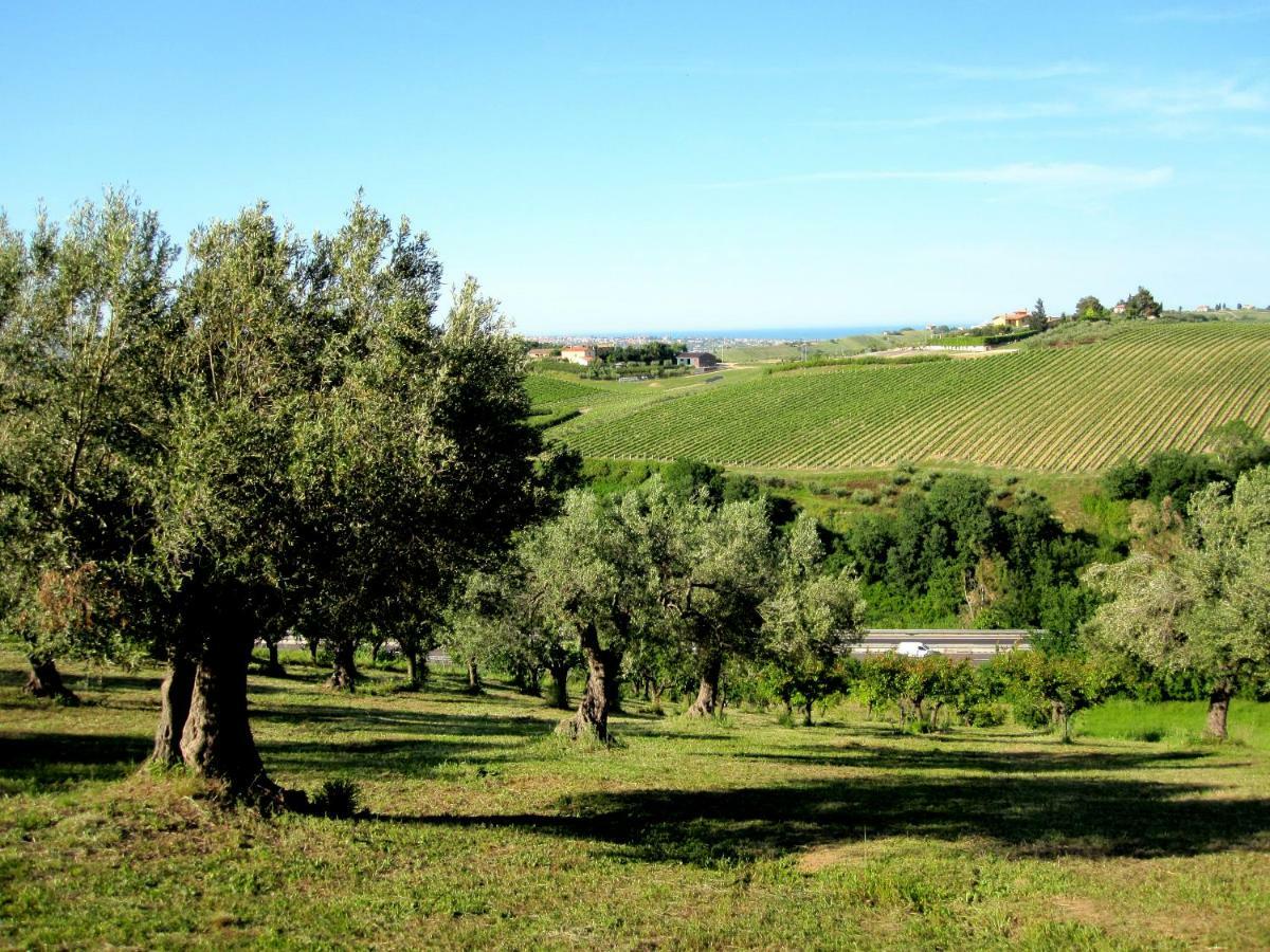 Agriturismo Tenuta Santa Maria 노타레스코 외부 사진