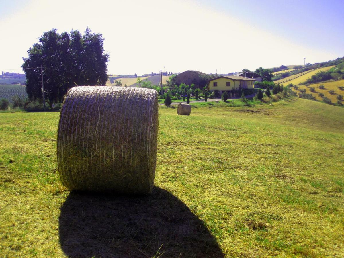 Agriturismo Tenuta Santa Maria 노타레스코 외부 사진